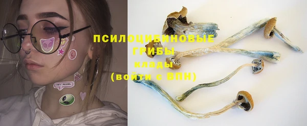 гашиш Белокуриха